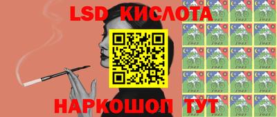 гидропоника Краснокаменск
