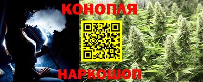 гидропоника Краснокаменск