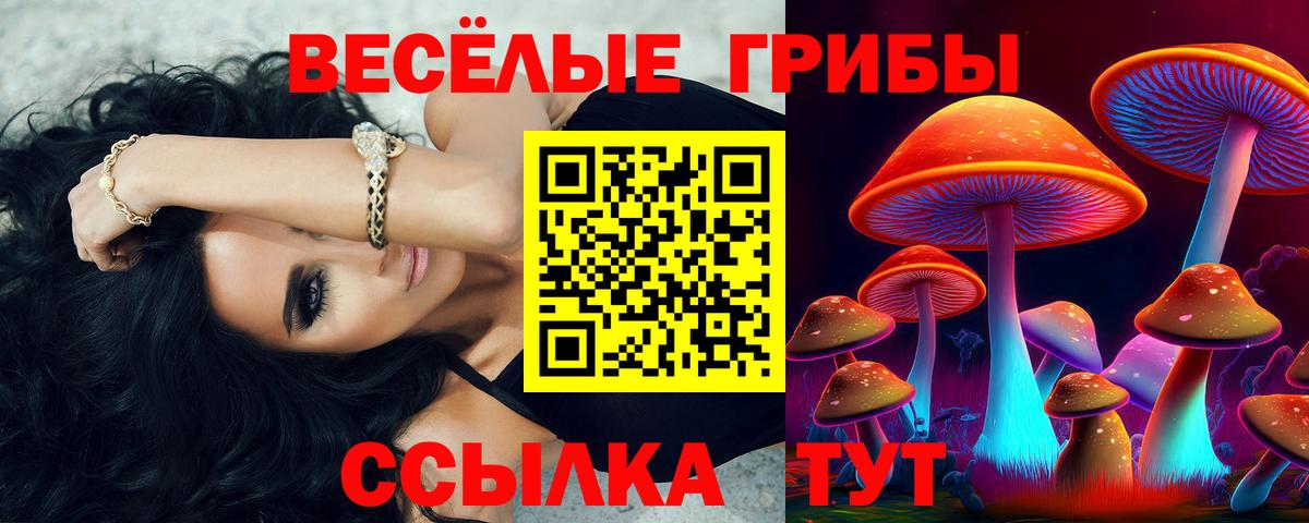 где купить наркоту  Галлюциногенные грибы прущие грибы  Каменка  Вход с VPN  Псилоцибиновые грибы Psilocybine cubensis 